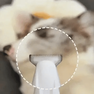 PatiLap Evcil Hayvan Tüy Bakım Cihazı